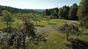 Solid Earth apple orchard