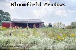 Bloomfield Meadows