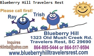 Blueberry Hill Travelers Rest