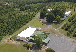 Showalter's Orchard and Greenhouse - apples, strawberries, 