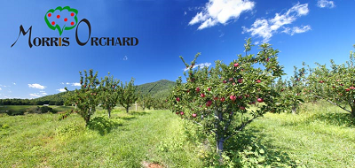 Morris Orchard - pumpkins, pick your own apples, apple cider