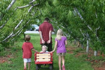 Family pulling wagon