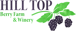 Hill Top Berry Farm & Winery - blackberries,
