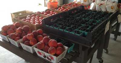 Pickett's Harbor Farms - Strawberries, 