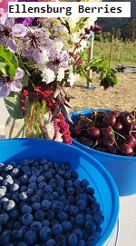 Ellensburg Berries 