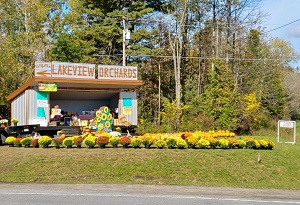 Lakeview Orchards - apples, mums and pumpkins