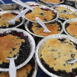 2024 Indiana Blueberry Festivals