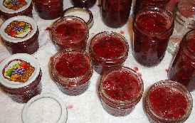 Jam jars filled, ready for sealing