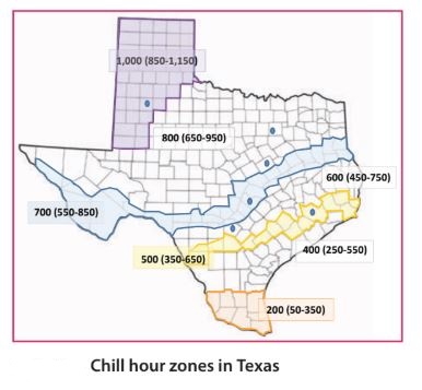 Texas chilling hours map