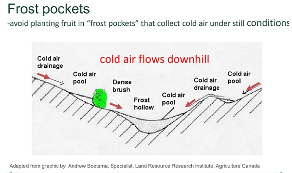 Planting in hollows and hillsides