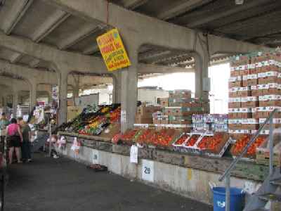 FreshPoint  Apples, Fuji