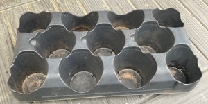 Cup holding tray