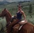 Horse rides, trails, stables, lessons and more