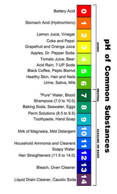 Ph Levels Of Common Foods