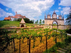 images/winerylogophotosmall