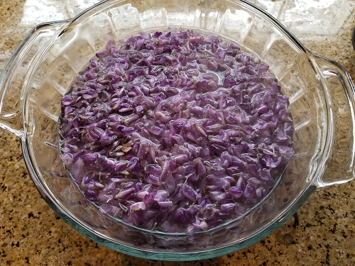 Steeping kudzu flowers