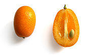 kumquats, vut up