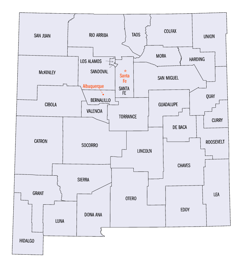 NM County Map