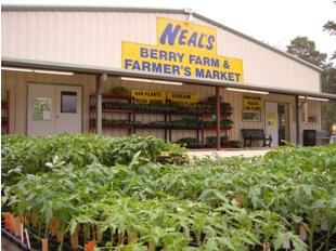 Neal's Berry Farm and Farmer's Market
