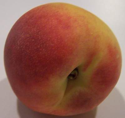 Peaches  Marylands Best