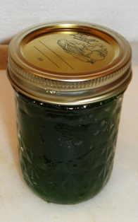 kiwi jam jar