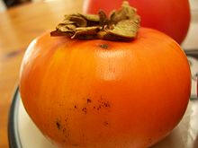 persimmon