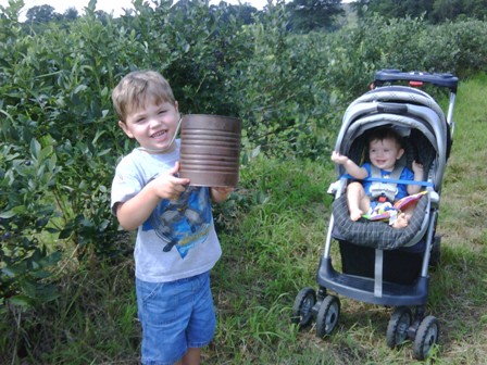 blake's sons picking blueberries