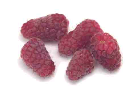 Loganberries