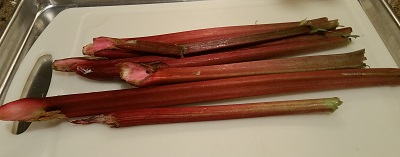 Fresh red rhubarb