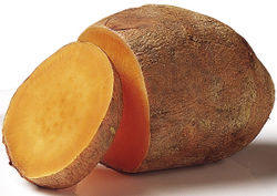 Sweet Potato Facts and Harvesting and Storing Tips