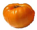 Amana Orange