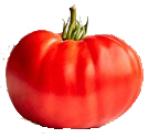Steakhouse hybrid tomato