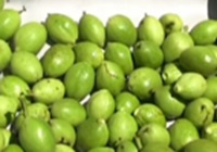 green walnuts