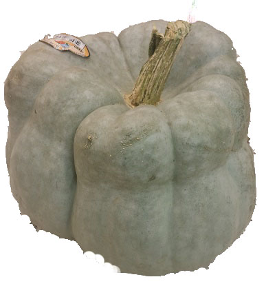 Jarrahdale pumpkin